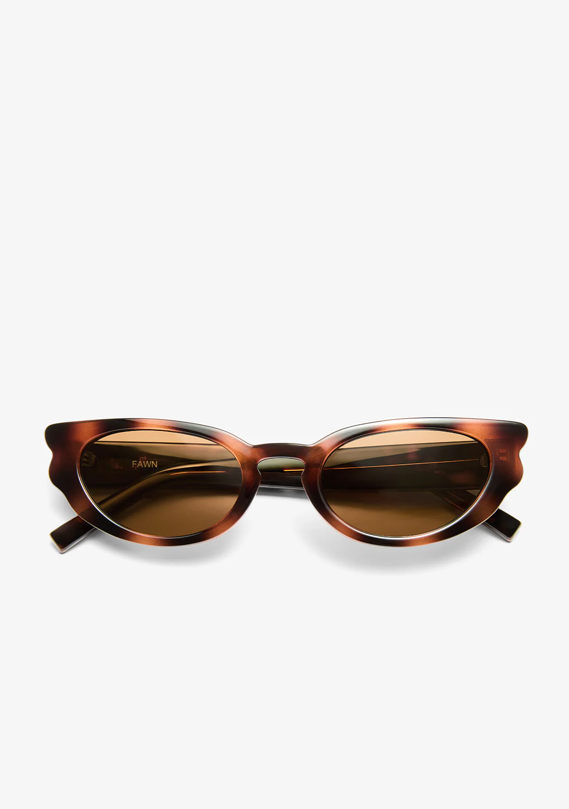 Fawn Tort / Brown - Image 5